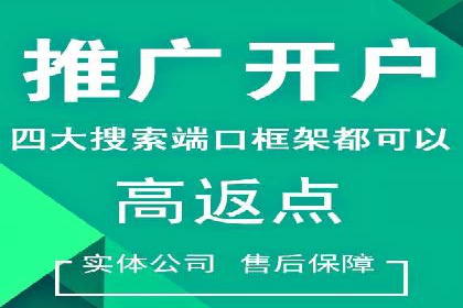 某电商平台的SEM运营托管全记录